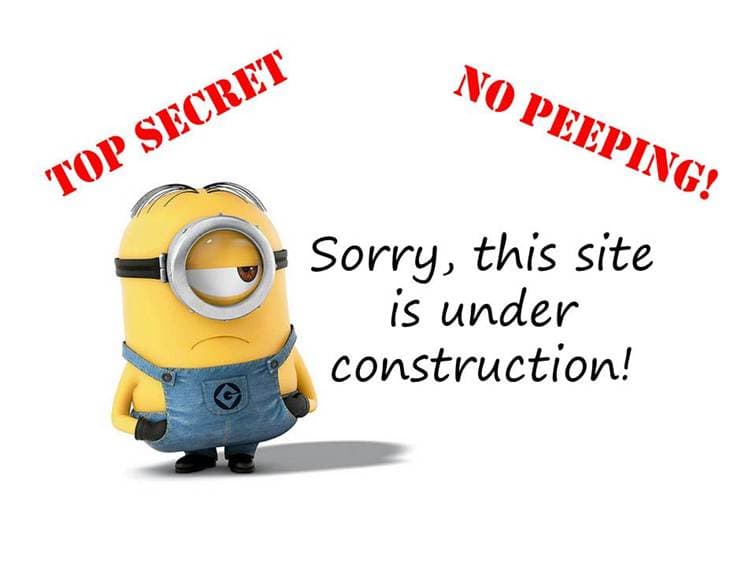 Minion Working